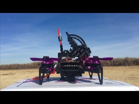 FuriBee Q95 95mm Micro FPV Racing Drone - UC9l2p3EeqAQxO0e-NaZPCpA