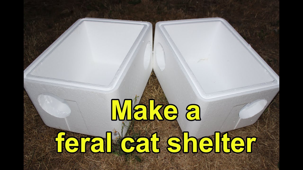 Make an extralarge feral cat shelter from styrofoam coolers Racer.lt