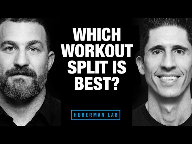 which-workout-split-is-best-for-muscle-gain-workout-daily