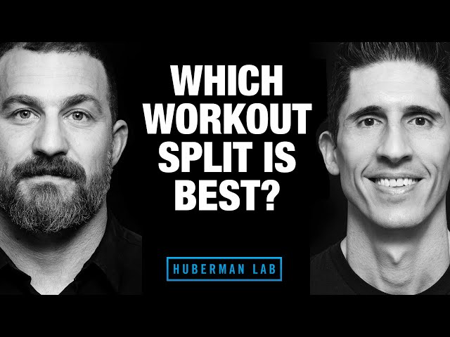 Which Workout Split Is Best For Muscle Gain Workout Daily