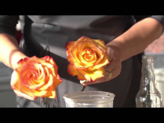 How To Preserve Flowers With Wax?