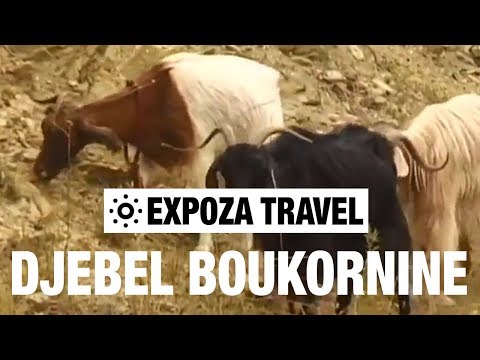 Djebel Boukornine (Tunisia) Vacation Travel Video Guide - UC3o_gaqvLoPSRVMc2GmkDrg