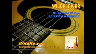 Wildflower - from the album Sentimental Strings Acoustic Assembly.wmv