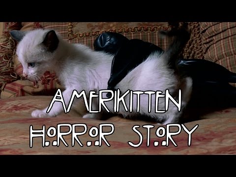AMERICAN HORROR STORY (Cute Kitten Version) - UCPIvT-zcQl2H0vabdXJGcpg