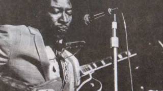 Jimmy Reed - Aw Shucks, Hush Your Mouth  （1962）