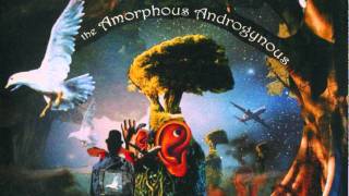 The Amorphous Androgynous - Mr. Sponge's Groovy Oscillations