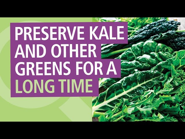 How to Preserve Kale: 3 Simple Methods