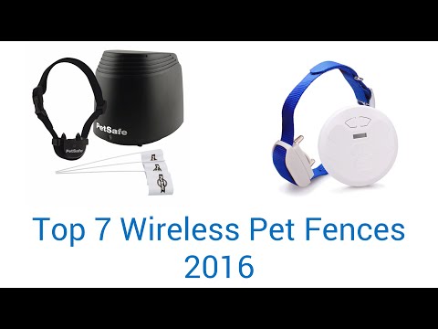 7 Best Wireless Pet Fences 2016 - UCXAHpX2xDhmjqtA-ANgsGmw