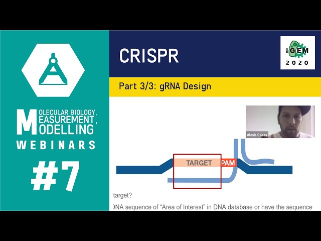 Deepcrispr Optimized CRISPR Guide RNA Design by Deep Learning