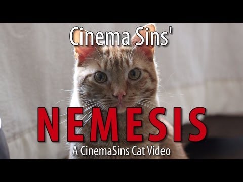 The Nemesis Of Cinema Sins: A Cinema Sins Cat Video - UCYUQQgogVeQY8cMQamhHJcg