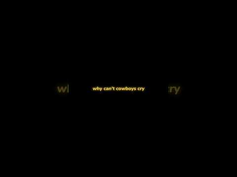 Why Can't Cowboys Cry? - Shaboozey overlay lyrics