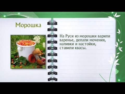 Кулинарная энциклопедия - рошка - UC7XBjhXnmmXFsxmnys9PmDQ