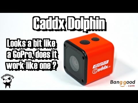 The Caddx Dolphin 1080p camera.  Supplied by Banggood - UCcrr5rcI6WVv7uxAkGej9_g