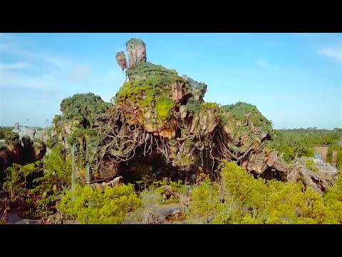 Dazzling drone flight over Pandora - The World of Avatar at Walt Disney World - UCYdNtGaJkrtn04tmsmRrWlw