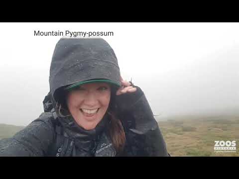 Moving forward from the bushfires