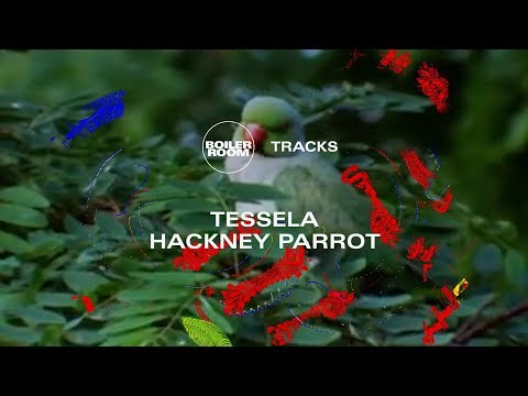 Rave belter to match the 90s originals?  Tessela's massive Hackney Parrot | Boiler Room - UCGBpxWJr9FNOcFYA5GkKrMg