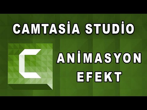 Camtasia studio ile slayt hazırlama Animasyon yapma