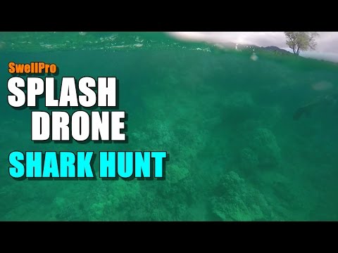 SwellPro Waterproof SPLASH DRONE Review - Part 4 - Shark Hunt! - UCVQWy-DTLpRqnuA17WZkjRQ