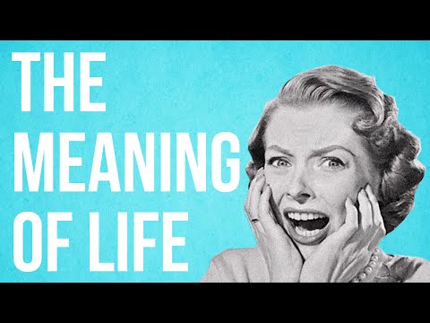 The Meaning of Life - UC7IcJI8PUf5Z3zKxnZvTBog