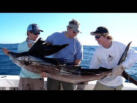 Incredible Florida Sailfish Fishing - Double Digit Day - UCL0L7RQ8mrO10OLRlWPoq6A