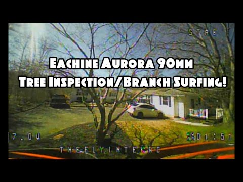 Aurora 90mm - Tree Inspection/Branch Surfing! Feat. The Eachine TX03 (BANGGOOD) - UCU33TAvzA-wgPMgcrdMVIdg