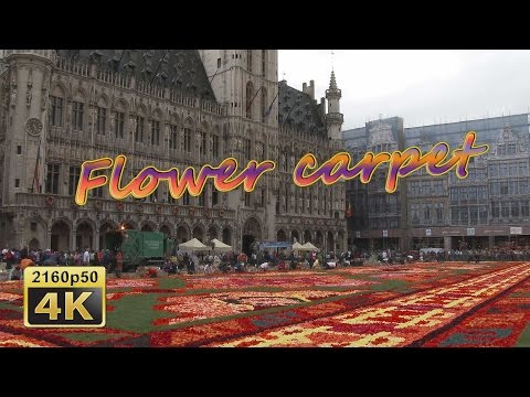 The Flower Carpet Brussels 2014, Construction  - Belgium 4K Travel Channel - UCqv3b5EIRz-ZqBzUeEH7BKQ