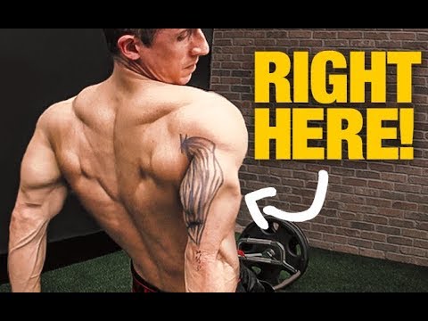 Triceps Size “Secret” (GET BIGGER ARMS!) - UCe0TLA0EsQbE-MjuHXevj2A