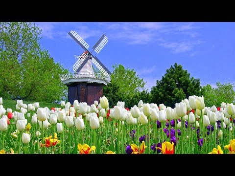 Dutch Countryside - UCpgFSIrateR_KlyeGtCRSqw