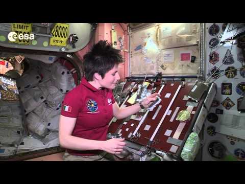 Snacks On Space Station - Italian Astronaut Reveals Menu | Video - UCVTomc35agH1SM6kCKzwW_g