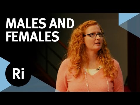 The Evolution of Males and Females - with Judith Mank - UCYeF244yNGuFefuFKqxIAXw