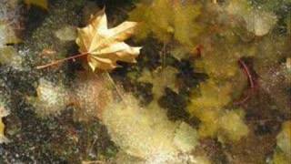 Paula Cole - Autumn Leaves