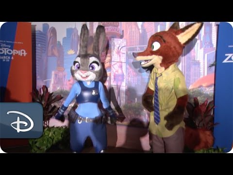 Disney’s Animal Kingdom Residents Inspire ‘Zootopia’ Characters - UC1xwwLwm6WSMbUn_Tp597hQ