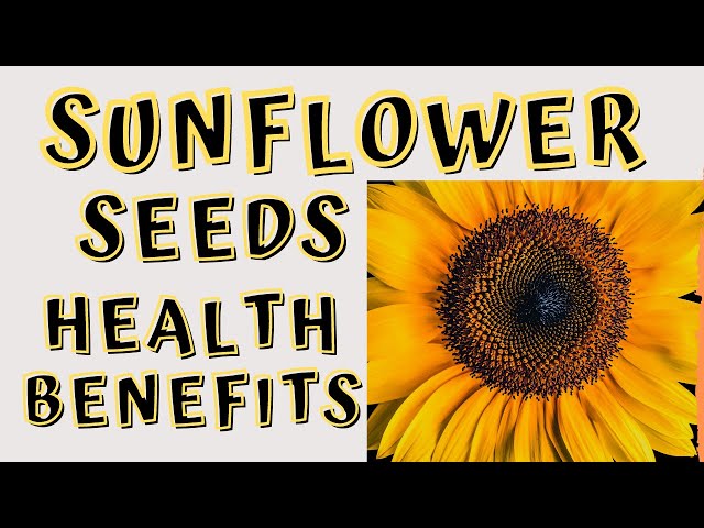 The Benefits of Baseball Sunflower Seeds