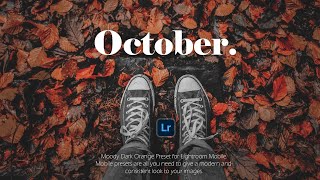 October (Moody Dark Orange) - Lightroom Mobile Preset | Dark Orange Tones | Fall Filter