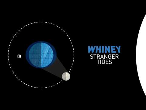 Whiney  - Moondance - UCNyo1qwT4ZKuoWsyrrdoc6g