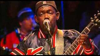 Lucky Peterson - LIVE