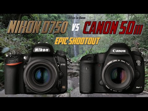 Nikon D750 vs Canon 5Diii Epic Shootout Review | Which camera to buy? | Tutorial Training - UCFIdYs7n4i8FKEb0aYhOucA