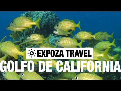 El Golfo de California Vacation Travel Video Guide - UC3o_gaqvLoPSRVMc2GmkDrg