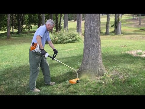 String Trimmer Buying Guide | Consumer Reports - UCOClvgLYa7g75eIaTdwj_vg