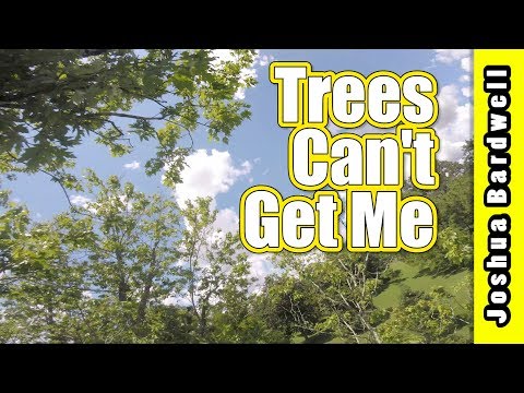 Fun With Tree Tops FPV Freestyle | KAREAREA KEA - UCX3eufnI7A2I7IkKHZn8KSQ