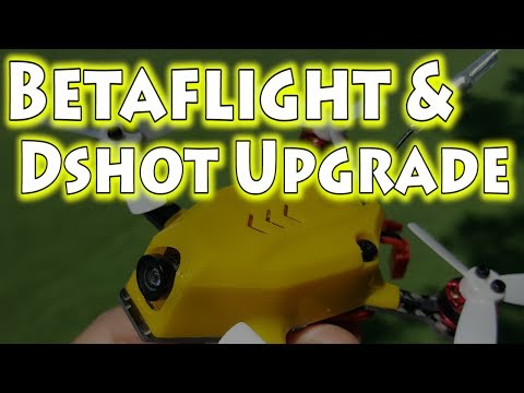 KingKong 95GT Betaflight 3.1 & DSHOT Upgrade  - UCnJyFn_66GMfAbz1AW9MqbQ