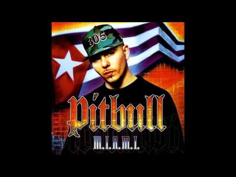 Pitbull - Dammit Man