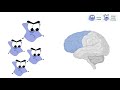 Imagen de la portada del video;Linfocitos detectives de tumores cerebrales