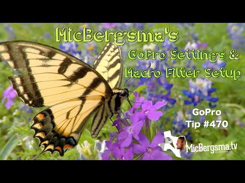 MicBergsma's Macro Set-Up & GoPro Settings - GoPro Tip #470 - UCTs-d2DgyuJVRICivxe2Ktg