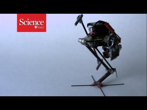 Parkour robot can do wall jumps - UCv0aU2eKry3kdSTnFa8QAWA