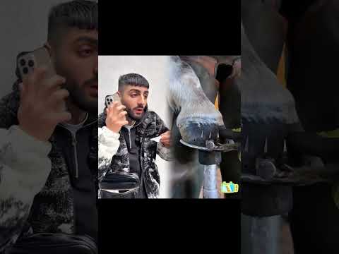 Der Freund den deine Eltern mögen😂#fürdich #foryou #viral #fyp #fypシ #fy #trending