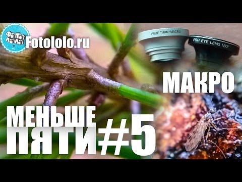 Меньше Пяти - Меньше Пяти #Макро - UCen2uvzEw4pHrAYzDHoenDg