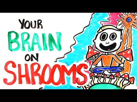 Your Brain On Shrooms - UCC552Sd-3nyi_tk2BudLUzA