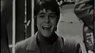 The McCoys - Hang On Sloopy [1965]