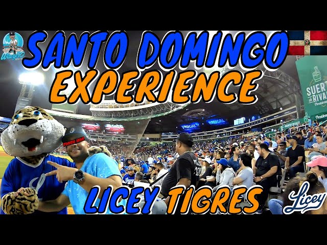 Tigres Del Licey: The Best Baseball Team in the Dominican Republic
